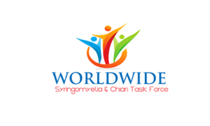 2015 WSCTF logo